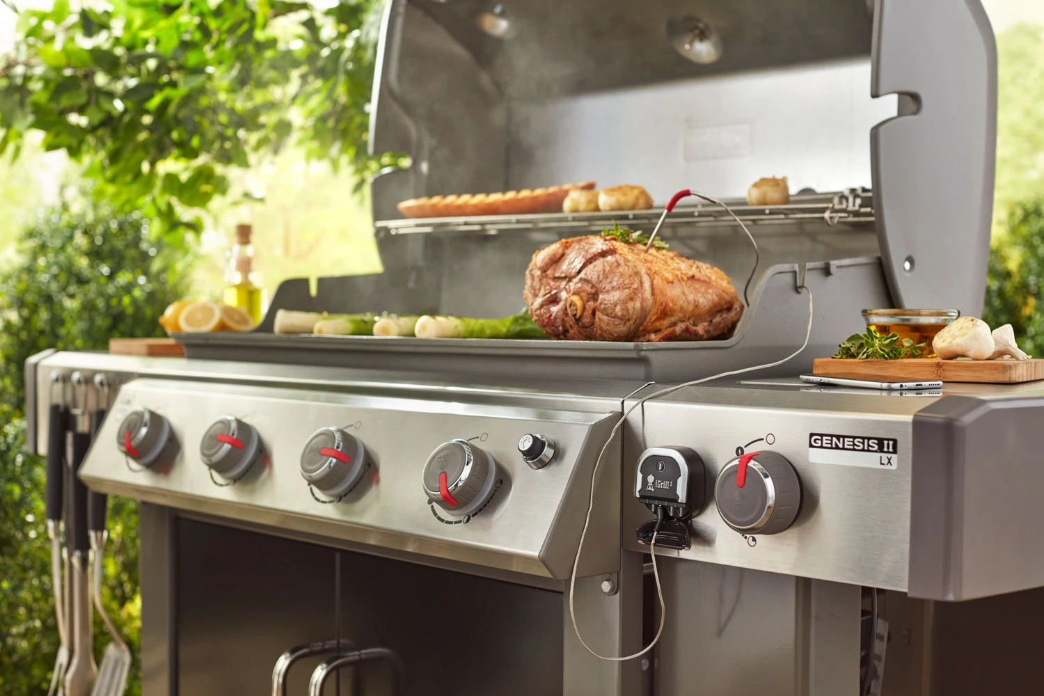 Termómetro Bluetooth IGrill 3 Weber - Imagen 5
